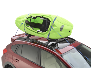 Kayak Carrier