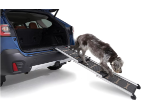 Pet Ramp