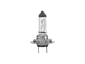 Bulb