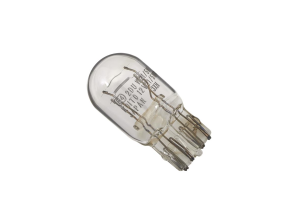 Bulb