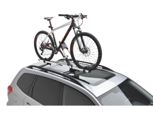Bike Rack
